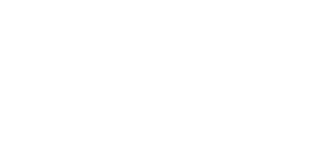 DT-SUISSE