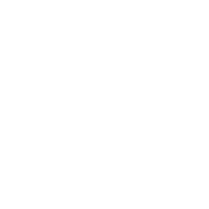 logo_simple_blanc